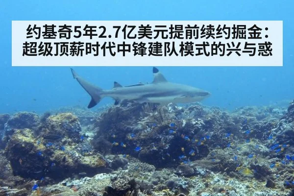 约基奇5年2.7亿美元提前续约掘金:超级顶薪时代中锋建队模式的兴与惑